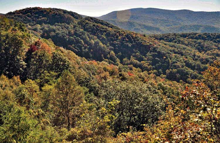 autuumn mountainside vista